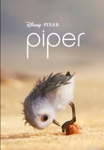 Piper