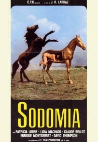 Sodomia